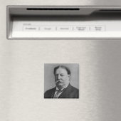 William Howard Taft Magneet (Insitu (Vaatwasser))