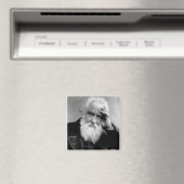 William Huggins, 1910 Magneet (Insitu (Vaatwasser))