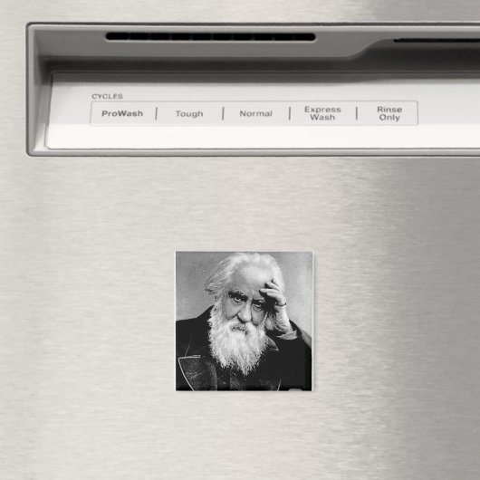 William Huggins, 1910 Magneet (Insitu (Vaatwasser))