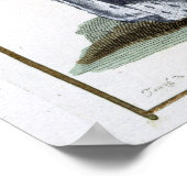 William III (1650-1702) van Sinaasappel, 1780 (gek Poster (Hoek)