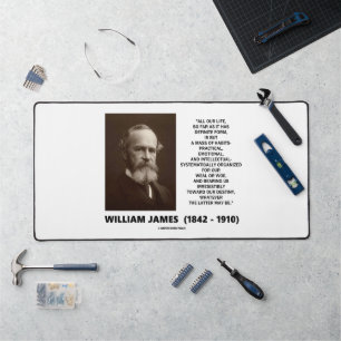 William James Mass of Habits Destiny Quote Bureaumat