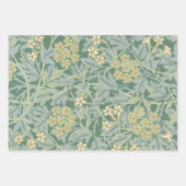 William Morris 19e eeuw papier vellen (Voorkant 3)