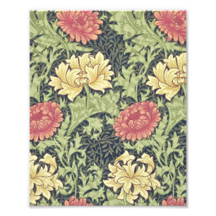 William Morris Chrysanthemum  Floral Art Foto Afdruk