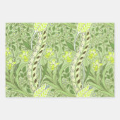 William Morris Daffodil Garden Flower Classic Bota Inpakpapier Vel (Voorkant 3)