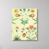 William Morris Daisy Floral Wallpaper Pattern Canvas Afdruk (Voorkant)