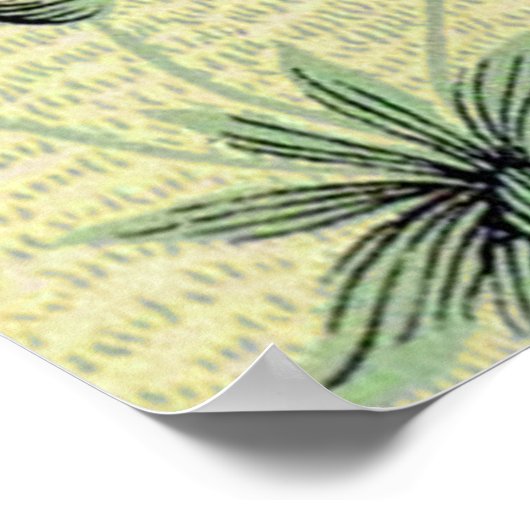 William Morris Daisy Floral Wallpaper Pattern Poster (Hoek)