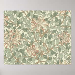 William Morris Honeysuckle Flower Wallpaper Poster