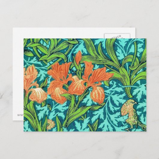 William Morris Irises, Oranje en Turquoise Briefkaart (Voorkant / Achterkant)