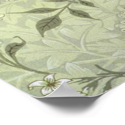 William Morris Jasmine Botanical Poster (Hoek)