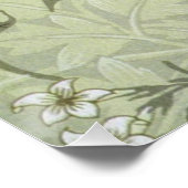 William Morris Jasmine Botanical Poster (Hoek)