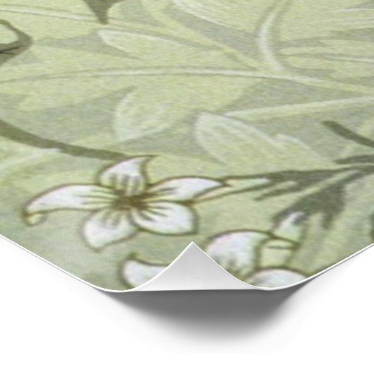 William Morris Jasmine Botanical Poster (Hoek)