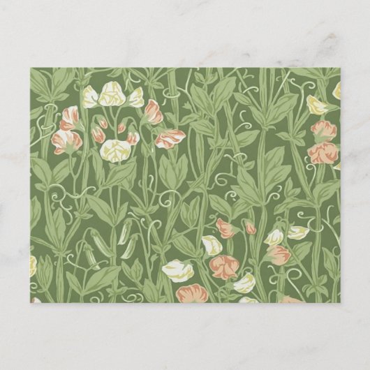 William Morris Lieve Erwt Patroon Vintage Botanisc Briefkaart (Voorkant)