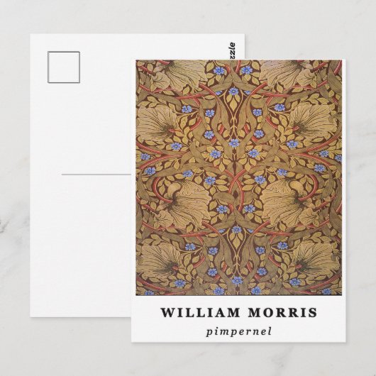 William Morris Pimpernel Briefkaart (Voorkant / Achterkant)