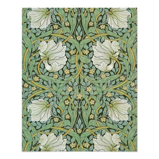 William Morris - Pimpernel Foto Afdruk (Voorkant)