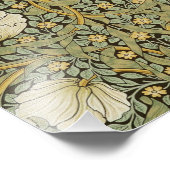 William Morris Pimpernel  Pre-Raphaelite Foto Afdruk (Hoek)