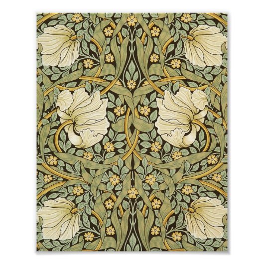 William Morris Pimpernel  Pre-Raphaelite Foto Afdruk (Voorkant)