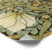 William Morris Pimpernel  Pre-Raphaelite Poster (Hoek)