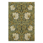 William Morris Pimpernel  Pre-Raphaelite Poster (Voorkant)