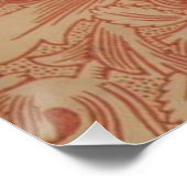 William Morris Pink Poppy Flower Floral Poster (Hoek)