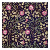 William Morris Sweet Briar Floral Art Foto Afdruk (Voorkant)