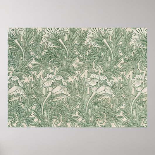 william morris tulip wallpaper groen poster (Voorkant)