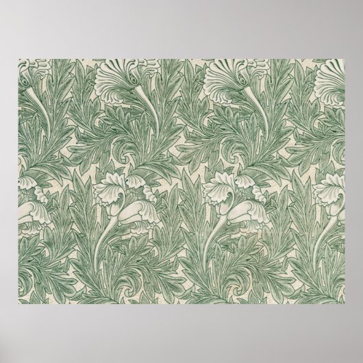 William Morris tulp behang textiel groen Poster (Voorkant)