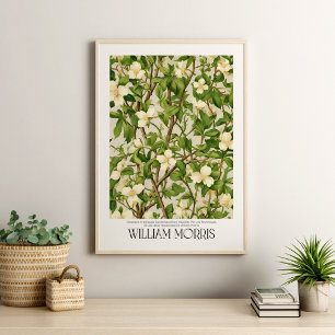 William Morris  White Wildflower Branch Poster