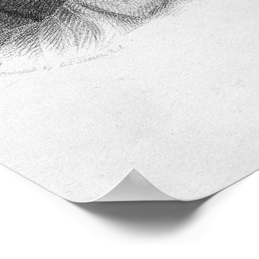 William Sharp, gegraveerd door J. Thomson Poster (Hoek)