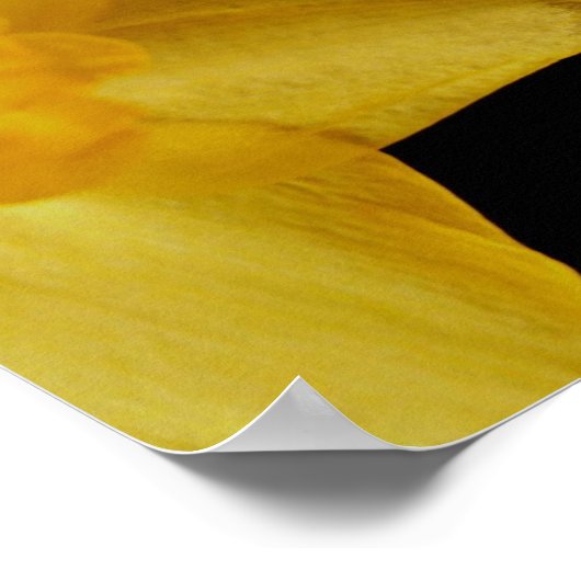 William Wordsworth Daffodils Poster (Hoek)