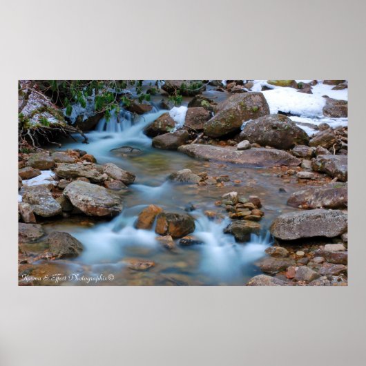 Williams River Tea Creek Area Poster (Voorkant)