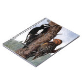 "Williamson's Sapsucker' Notitieboek (Linkerzijde)