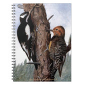 "Williamson's Sapsucker' Notitieboek (Voorkant)