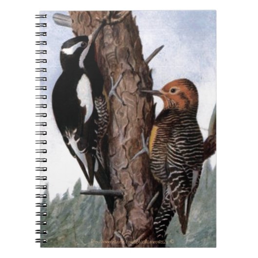 "Williamson's Sapsucker' Notitieboek (Voorkant)