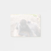 Willie B III in Zoo Atlanta (2023) Post-it® Notes (Voorkant)