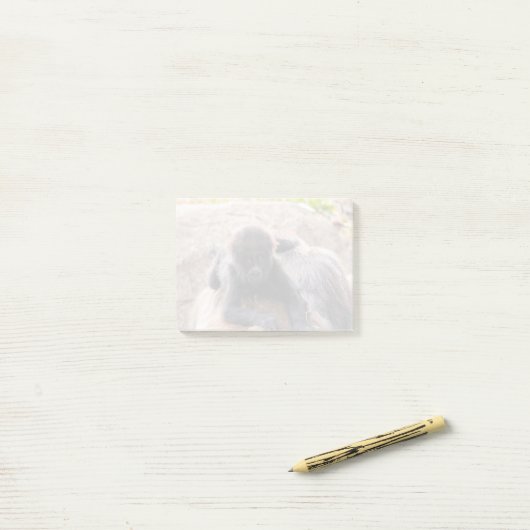 Willie B III in Zoo Atlanta (2023) Post-it® Notes (Op bureau)