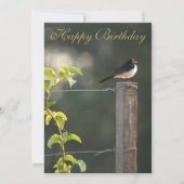 Willie Wagtail Happy Birthday (Voorkant)