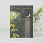 Willie Wagtail Happy Birthday (Staand voorkant)