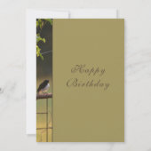 Willie Wagtail Happy Birthday (Achterkant)