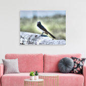 WILLIE WAGTAIL OP HEK LANDELIJK QUEENSLAND AUSTRAL CANVAS AFDRUK (Insitu (Woonkamer))