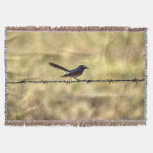 WILLIE WAGTAIL OVER FENCE QUEENSLAND ART EFFECTEN