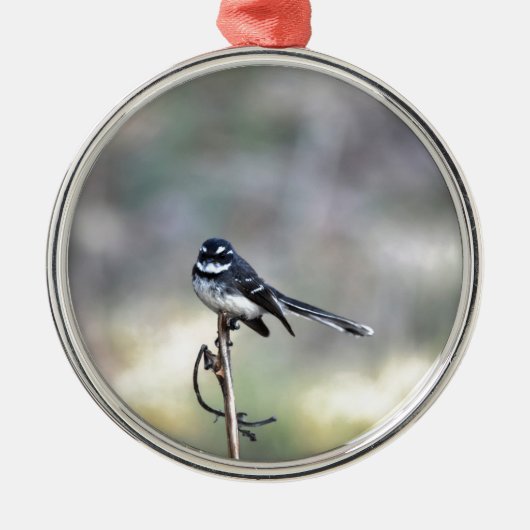 WILLIE WAGTAIL PLRAL QUEENSLAND AUSTRALIË METALEN ORNAMENT (Voorkant)