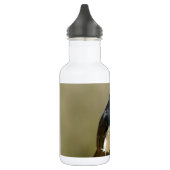 Willie Wagtail Waterfles (Links)