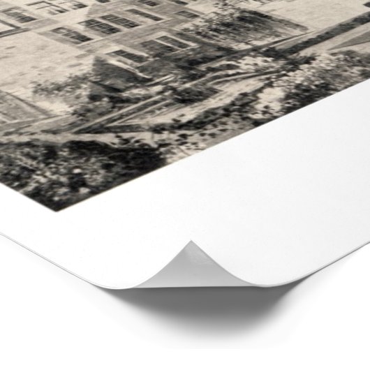 Willis McCook Estate Poster (Hoek)