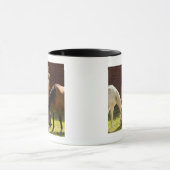 Willmar, Minnesota, Verenigde Staten van Amerika Mok (Midden)