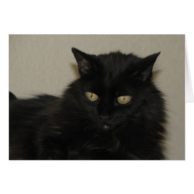 Willow (Voorkant Horizontaal)