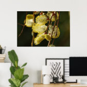 Willow Buds Poster (Thuiskantoor)