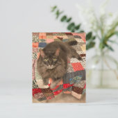 "Willow Cat Sitting" Foto-Briefkaart Briefkaart (Staand voorkant)