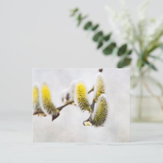 Willow Catkins - Silver World Briefkaart (Staand voorkant)