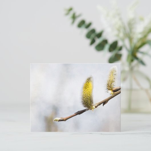Willow Catkins - Silver World Briefkaart (Staand voorkant)