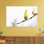 Willow Catkins - Silver World Canvas Afdruk (Insitu (Woonkamer))